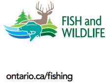 Screen Shot 2017-11-14 at 11.02.43 AM